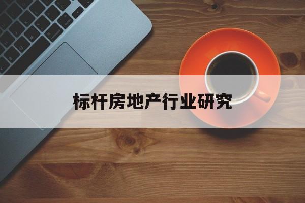 惠州市标杆房地产行业研究(房地产领域的标杆人物)