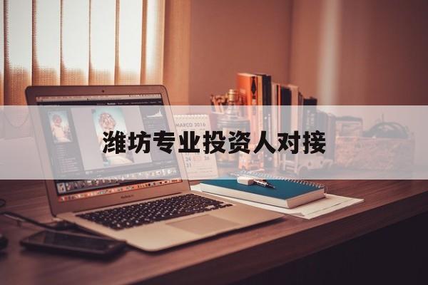 惠州市潍坊专业投资人对接(潍坊专业投资人对接中心)