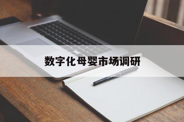 惠州市数字化母婴市场调研(数字化母婴市场调研报告)